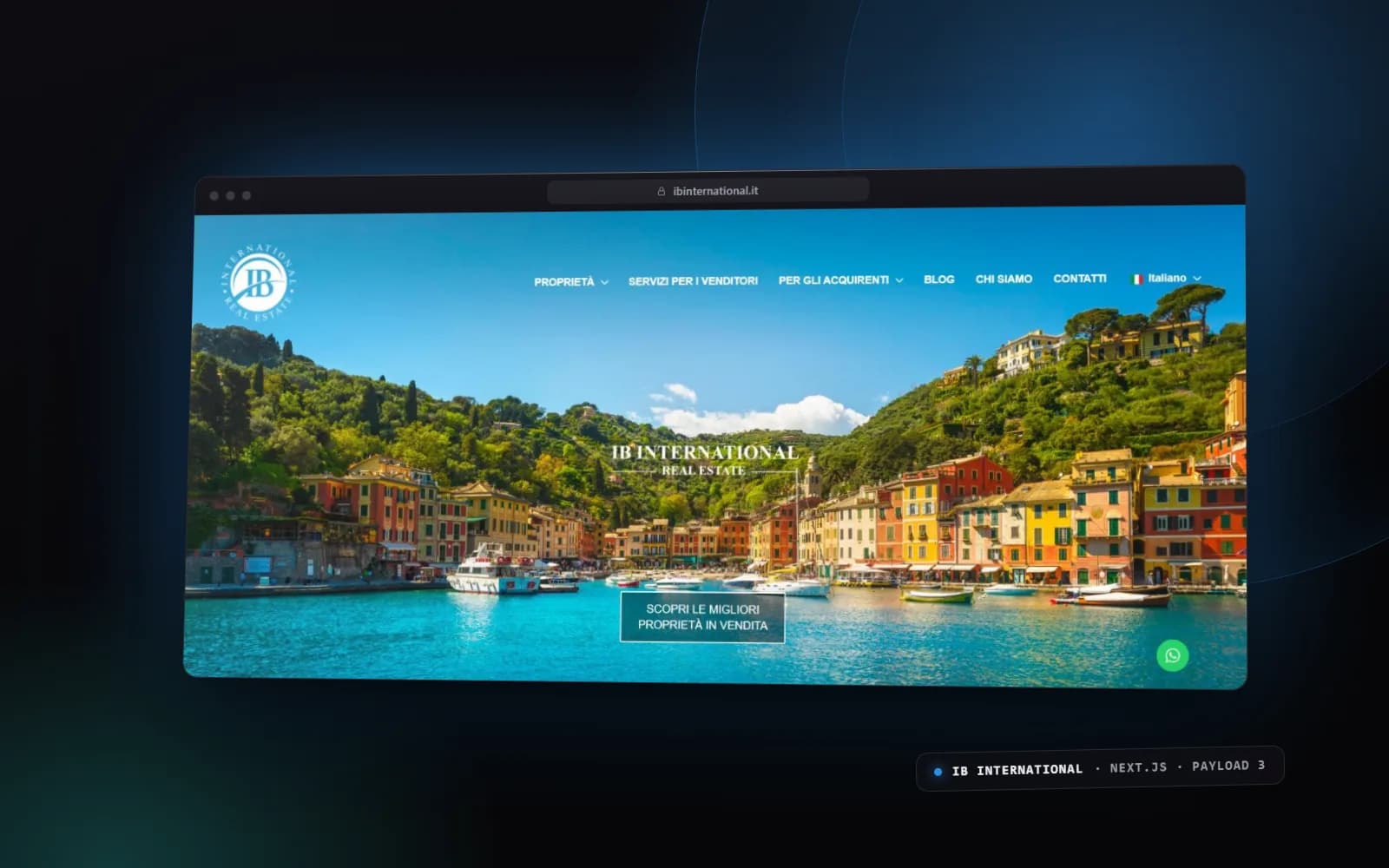 IB International — website screenshot